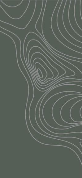 Brand motif panel